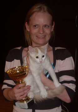 Safkan Kedi's Apollon vinder BIS på sin første katteudstilling